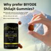 himalayan natural shilajit gummies – 3000mg with Ashwagandha, Black Musli & Gokshura | 60 Gummies