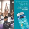 Ashwagandha Gummies – Stress Relief, Energy & Relaxation | 300mg Ashwagandha + Vitamin D2 | 60 Gummies
