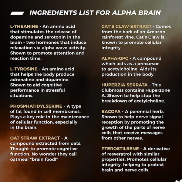 Best L-Theanine Supplement for Calm Focus & Mental Clarity
