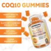 Coq10 Gummies