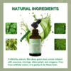 Soursop Drops – 10-in-1 Herbal Liquid with Sea Moss, Ashwagandha & Black Seed Oil | 60ml