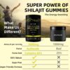 himalayan natural shilajit gummies – 3000mg with Ashwagandha, Black Musli & Gokshura | 60 Gummies