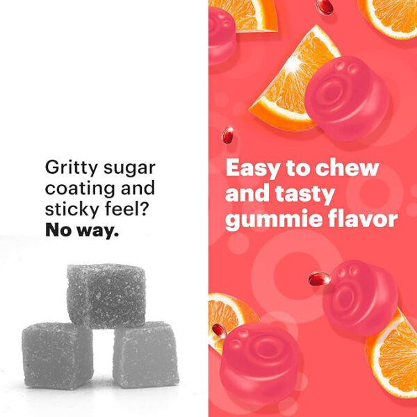 Vitamin B12 Gummies for Energy & Focus Support